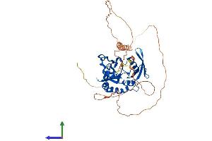 Protein Structure (PS) image for CTD (Carboxy-Terminal Domain, RNA Polymerase II, Polypeptide A) Small Phosphatase Like 2 (CTDSPL2) (AA 1-466) protein (His tag) (ABIN7546780)