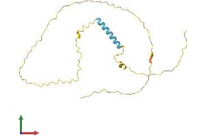 AlphaFold protein structure predicition of Mouse Recombinant Tceal5 Protein, UniprotID Q8CCT4