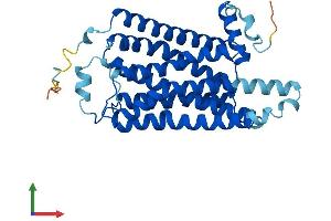 AlphaFold protein structure predicition of Mouse Recombinant Taar2 Protein, UniprotID Q5QD17