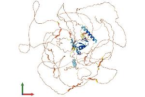 Protein Structure (PS) image for Ring Finger Protein 111 (RNF111) (AA 1-994) protein (His tag) (ABIN7555254)