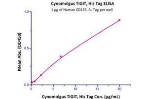 Binding Studies (Bind) image for T Cell Immunoreceptor with Ig and ITIM Domains (TIGIT) (AA 89-208) (Active) protein (His tag) (ABIN4949059)