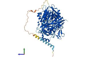Protein Structure (PS) image for N-Acylsphingosine Amidohydrolase (Non-Lysosomal Ceramidase) 2 (ASAH2) (AA 1-756) protein (His tag) (ABIN7565075)