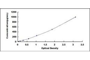 Typical standard curve (IGFBP2 ELISA 试剂盒)