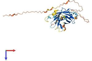 PLSCR4 Protein (AA 1-326) (His tag)