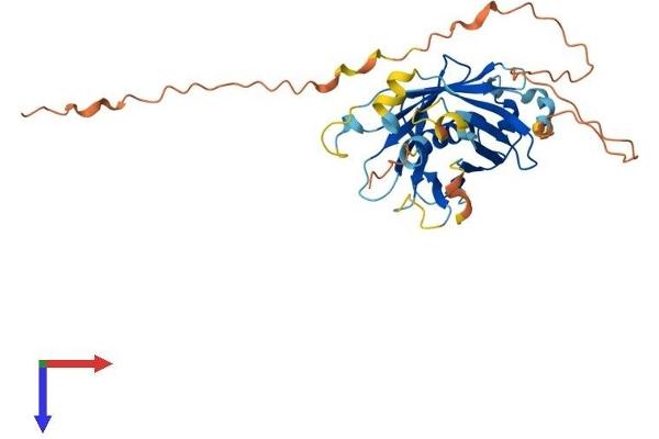 PLSCR4 Protein (AA 1-326) (His tag)