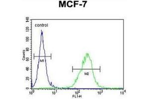 Flow cytometric analysis of MCF-7 cells  using OR6C4 Antibody (C-term) Cat. (OR6C4 抗体  (C-Term))
