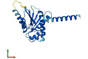 AlphaFold protein structure predicition of Mouse Recombinant Alg14 Protein, UniprotID Q9D081