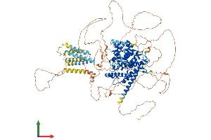 Protein Structure (PS) image for phosphodiesterase 3A, cGMP-Inhibited (PDE3A) (AA 1-1141) protein (His tag) (ABIN7554896)