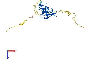 AlphaFold protein structure predicition of Human Recombinant RNF224 Protein, UniprotID P0DH78
