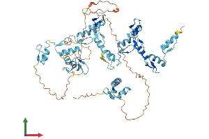 Protein Structure (PS) image for Zinc Finger Protein 354A (ZNF354A) (AA 1-605) protein (His tag) (ABIN7545715)