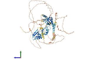 AlphaFold protein structure predicition of Human Recombinant APBA1 Protein, UniprotID Q02410 (APBA1 Protein (AA 1-837) (His tag))