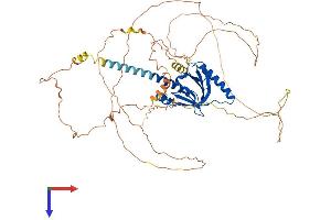 DAB1 Protein (AA 1-588) (His tag)