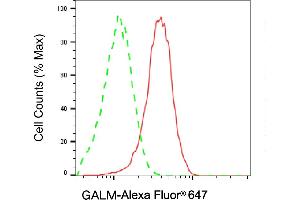 Flow cytometric analysis of GALM expression in HeLa cells using GALM antibody (ABIN7798681), 1:2,000).