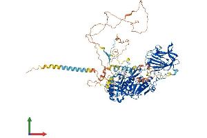 AlphaFold protein structure predicition of Mouse Recombinant B4galnt3 Protein, UniprotID Q6L8S8
