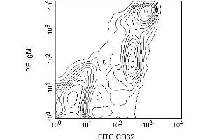 Two-color analysis of the expression of CD32 on rat splenocytes. (Fc gamma RII (CD32) 抗体)