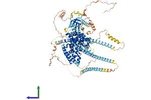 AlphaFold protein structure predicition of Human Recombinant TBC1D2B Protein, UniprotID Q9UPU7