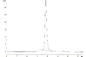 The purity of Biotinylated Human LRRC15 is greater than 95 % as determined by SEC-HPLC.