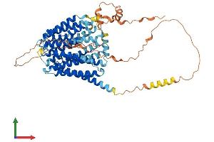 Protein Structure (PS) image for Solute Carrier Family 19 (Folate Transporter), Member 1 (SLC19A1) (AA 1-591) protein (His tag) (ABIN7555344)