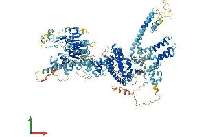 Protein Structure (PS) image for Transient Receptor Potential Cation Channel, Subfamily M, Member 4 (TRPM4) (AA 1-1214) protein (His tag) (ABIN7555868)