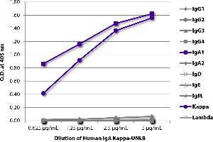 ELISA plate was coated with serially diluted Human IgA Kappa-UNLB and quantified. (Human IgA isotype control (HRP))