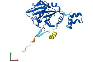 Protein Structure (PS) image for SplA/ryanodine Receptor Domain and SOCS Box Containing 1 (SPSB1) (AA 1-273) protein (His tag) (ABIN7561015)