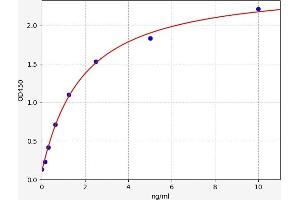 Typical standard curve (DUSP5 ELISA 试剂盒)