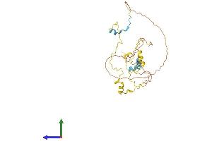 Protein Structure (PS) image for Myozenin 1 (MYOZ1) (AA 1-296) protein (His tag) (ABIN7561620)