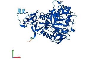 AlphaFold protein structure predicition of Mouse Recombinant Amdhd2 Protein, UniprotID Q8JZV7