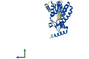 Protein Structure (PS) image for Dehydrogenase/reductase (SDR Family) Member 7B (DHRS7B) (AA 1-325) protein (His tag) (ABIN7547261)