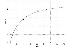A typical standard curve (CERK ELISA 试剂盒)