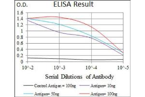 Red: Control Antigen (100ng) ; Purple: Antigen (10ng) ; Green: Antigen (50ng) ; Blue: Antigen (100ng). (MARK3 抗体  (AA 435-658))