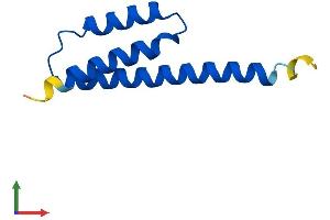 AlphaFold protein structure predicition of Human Recombinant ETFRF1 Protein, UniprotID Q6IPR1