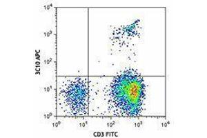 Flow Cytometry (FACS) image for anti-TCR V Alpha7.2 antibody (APC) (ABIN2658401) (TCR V Alpha7.2 抗体 (APC))