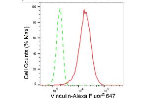 Flow cytometric analysis of Vinculin expression in HT- cells using Vinculin antibody (ABIN7800842), 1:2,000). (Recombinant Vinculin 抗体)