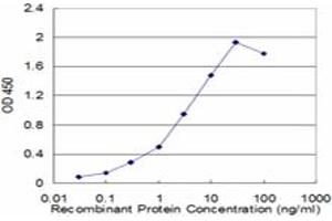 Detection limit for recombinant GST tagged GSTP1 is approximately 0. (GSTP1 抗体  (AA 1-210))