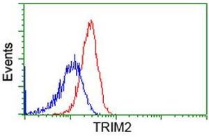 Flow Cytometry (FACS) image for anti-Tripartite Motif Containing 2 (TRIM2) (AA 1-100), (AA 645-744) antibody (ABIN1490540) (TRIM2 抗体  (AA 1-100, AA 645-744))
