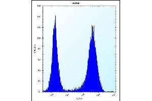 anti-Speckle-Type POZ Protein-Like (SPOPL) (AA 221-249) antibody