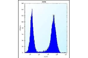 SPOPL Antibody (Center) (ABIN656695 and ABIN2845929) flow cytometric analysis of Jurkat cells (right histogram) compared to a negative control cell (left histogram).