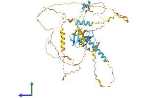Protein Structure (PS) image for Yes-Associated Protein 1 (YAP1) (AA 1-504) protein (His tag) (ABIN7556059)