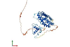 AlphaFold protein structure predicition of Mouse Recombinant Esrra Protein, UniprotID O08580
