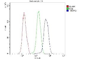 Flow Cytometry analysis of U251 cells using anti-GPCR LGR8 antibody (ABIN6719634). (RXFP2 抗体)