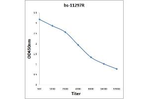 Antigen: 0. (Monoamine Oxidase B 抗体  (AA 51-150))