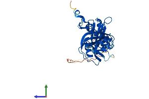 Protein Structure (PS) image for Nudix (Nucleoside Diphosphate Linked Moiety X)-Type Motif 6 (NUDT6) (AA 1-313) protein (His tag) (ABIN7559334)