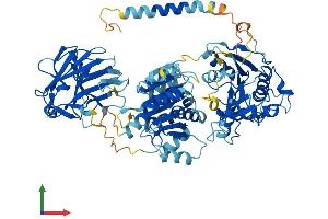 AlphaFold protein structure predicition of Human Recombinant DDX1 Protein, UniprotID Q92499
