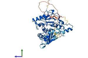 Protein Structure (PS) image for Methenyltetrahydrofolate Synthetase Domain Containing (MTHFSD) (AA 1-372) protein (His tag) (ABIN7557268)