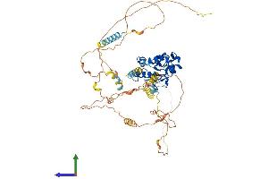 Protein Structure (PS) image for Cell Division Cycle 25 Homolog B (S. Pombe) (CDC25B) (AA 1-576) protein (His tag) (ABIN7563084)