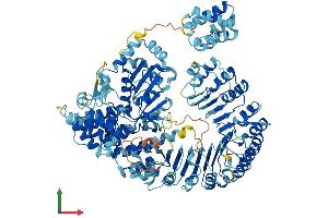 Protein Structure (PS) image for NLR Family, CARD Domain Containing 4 (NLRC4) (AA 1-1024) protein (His tag) (ABIN7554754)