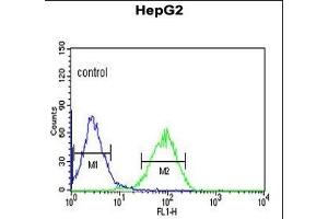 NR5A1 Antibody (N-term) (ABIN651299 and ABIN2840177) flow cytometric analysis of HepG2 cells (right histogram) compared to a negative control cell (left histogram). (NR5A1 抗体  (N-Term))