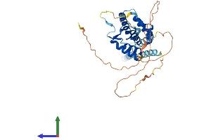 Protein Structure (PS) image for Small Nuclear RNA Activating Complex, Polypeptide 1, 43kDa (SNAPC1) (AA 1-368) protein (His tag) (ABIN7546214)