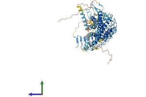 Protein Structure (PS) image for Relaxin/insulin-Like Family Peptide Receptor 1 (RXFP1) (AA 1-757) protein (His tag) (ABIN7555377)